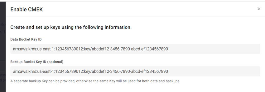 Cloud Key Management Service for AWS Volume Encryption > Configuring CMEK while deploying the workgroup Step 11