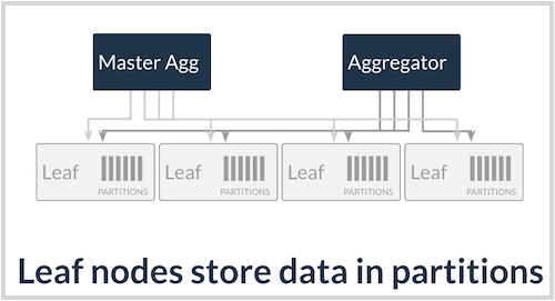 In SingleStore, aggregator nodes manage leaf nodes, which store data in partitions.