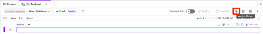 An image that shows the "Version History" icon within a Notebook.