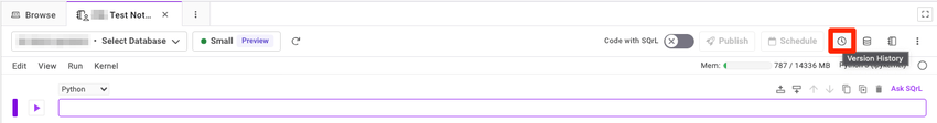 An image that shows the "Version History" icon within a Notebook.
