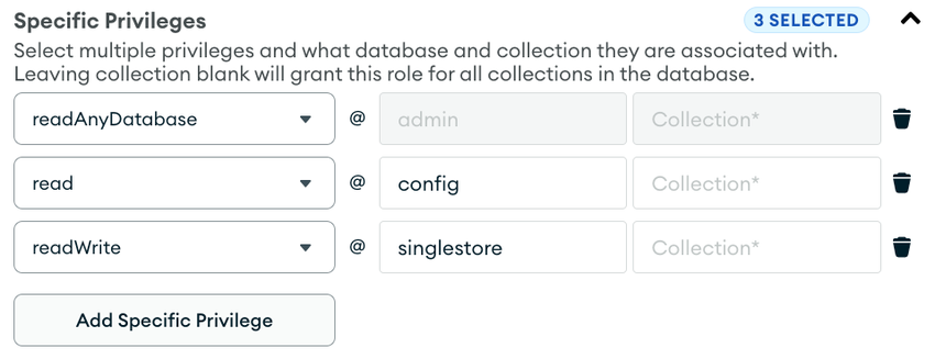 Provide the readWrite privilege for the singlestore database to the user.