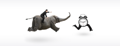 Hadoop: The Chronicle of an Expected Decline