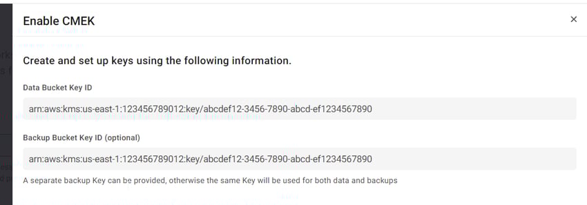 Cloud Key Management Service for AWS Volume Encryption > Configuring CMEK while deploying the workgroup Step 11