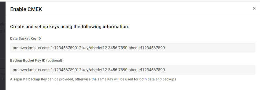 Cloud Key Management Service for AWS Volume Encryption > Configuring CMEK while deploying the workgroup Step 11