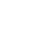 Deloitte Fast 500