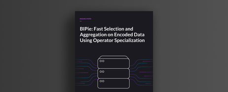 BIPie: Fast Selection and Aggregation on Encoded Data Using Operator Specialization