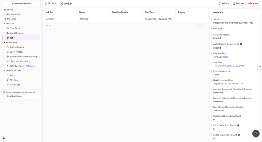 Job execution details and Job details pane for an example job.