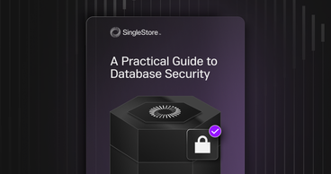 A Practical Guide to Database Security