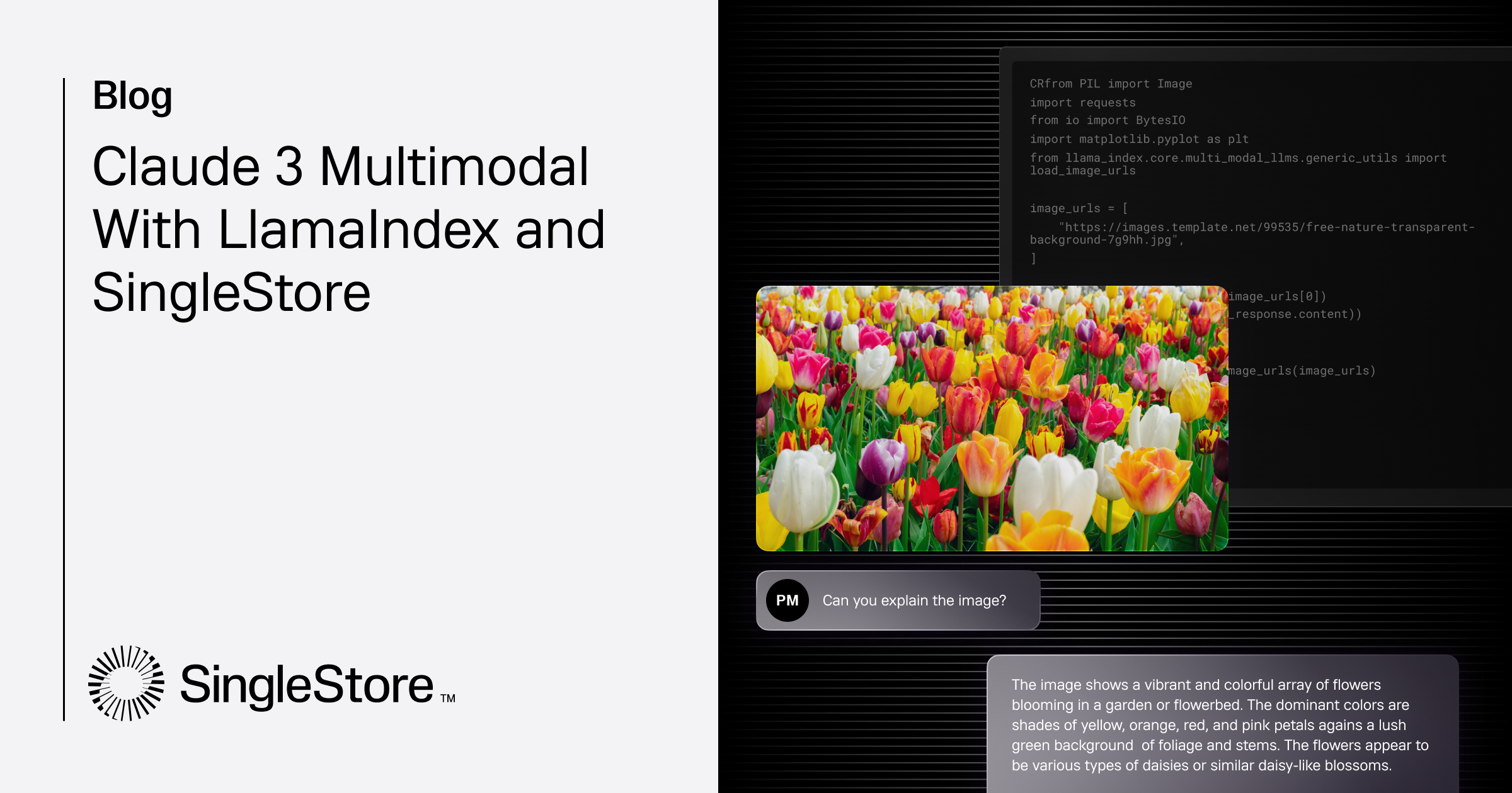 Advanced Features of Claude AI: Adaptive Learning and Multimodal Capabilities