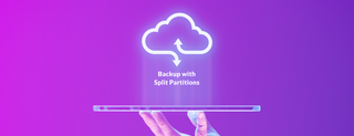Backup With Split Partitions: Robust Partition Split via Backup