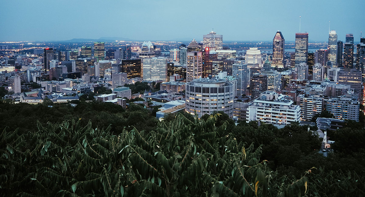 View of Montréal skyline from Mont-Royal park.