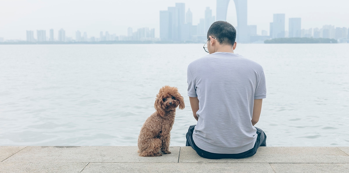 Man and his dog are relaxed in German.