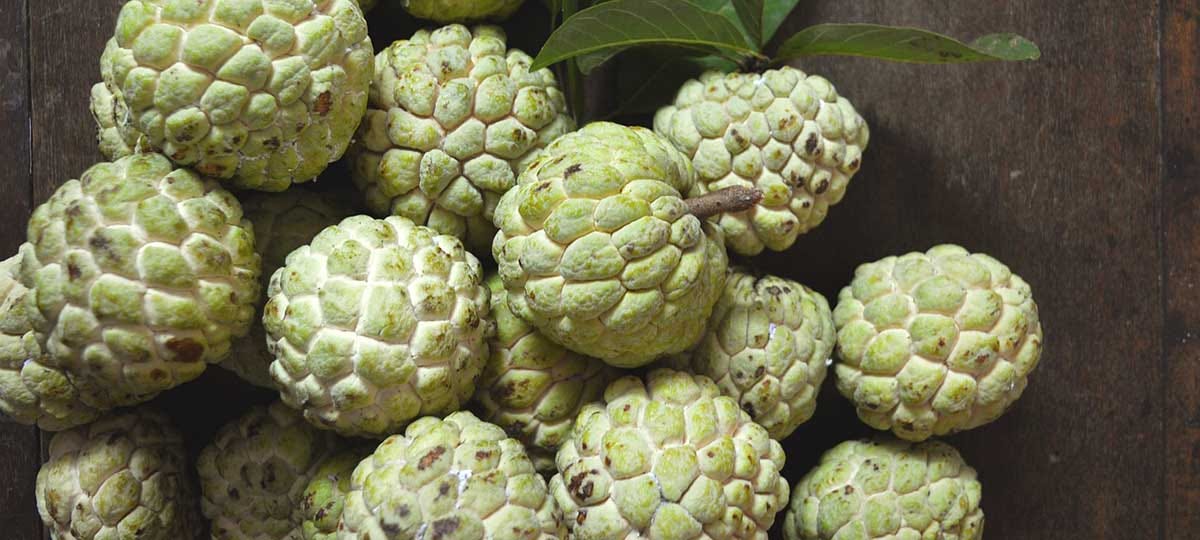 Custard apple.