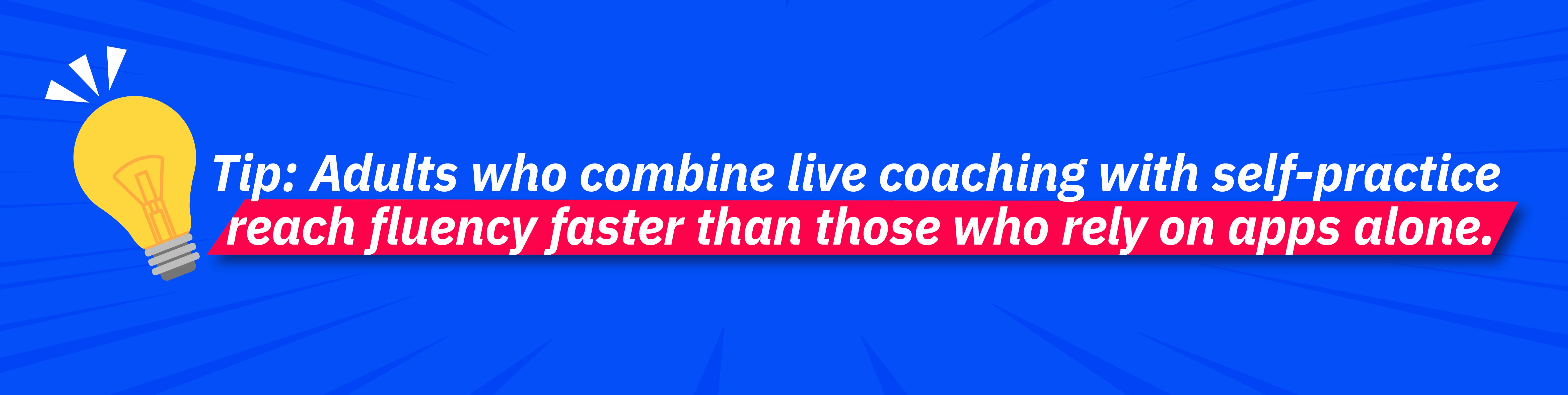 BANNER_TIP-01.jpg