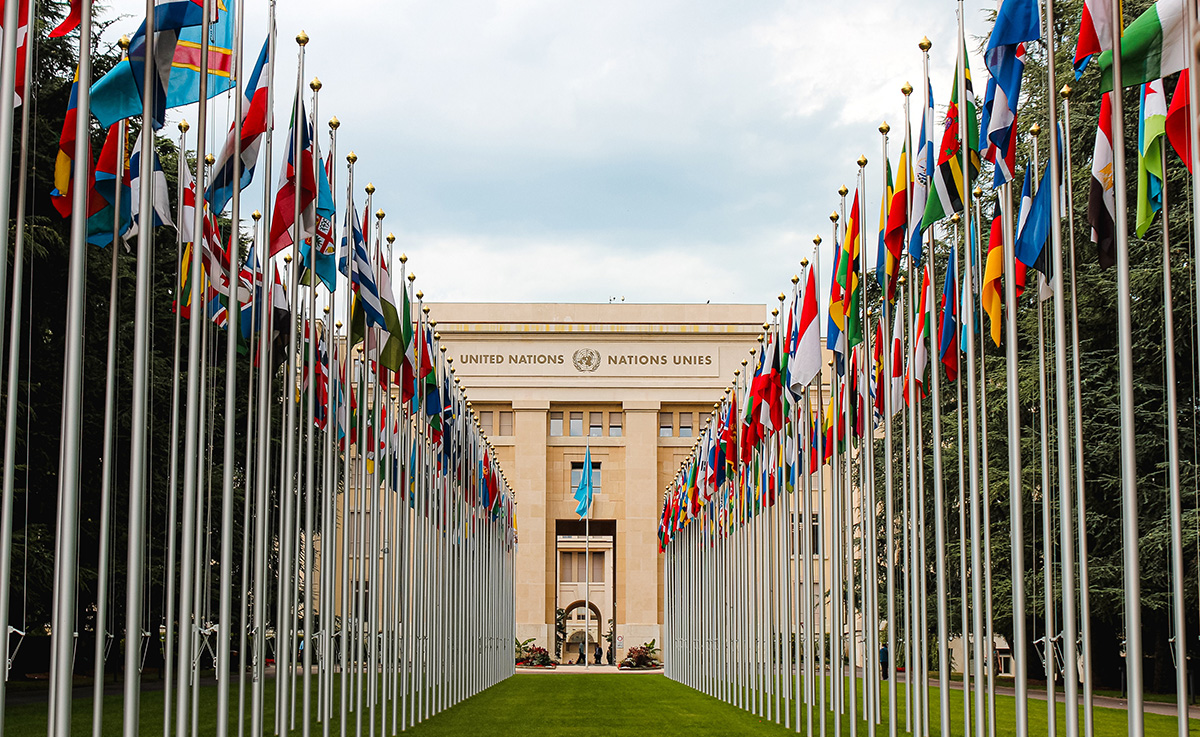 French is the official language of the United Nations.