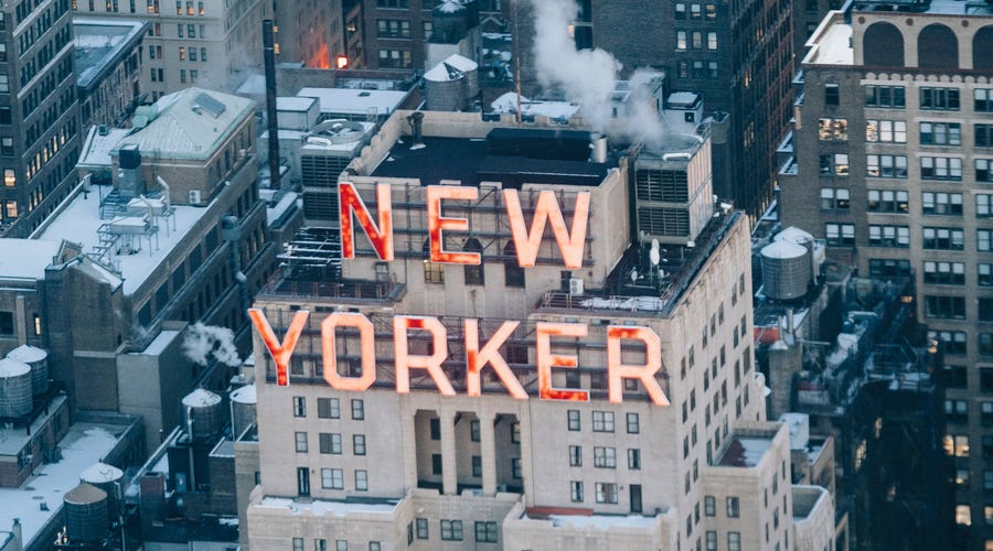 New York Slang 2025 Terms Allx Luelle