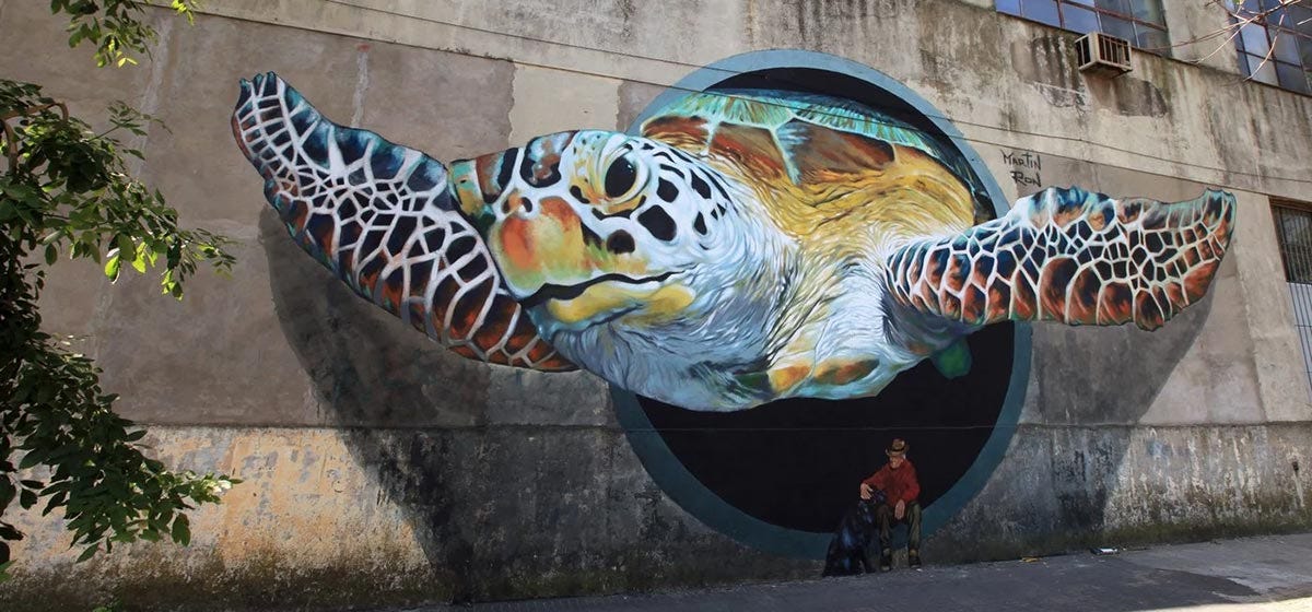 Turtle mural in Buenos Aires by street artiest Martin Ron.