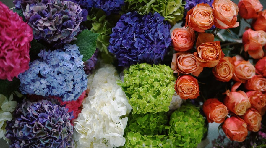 140 of the Most Beautiful Flowers in Italian and Flowers of Italy