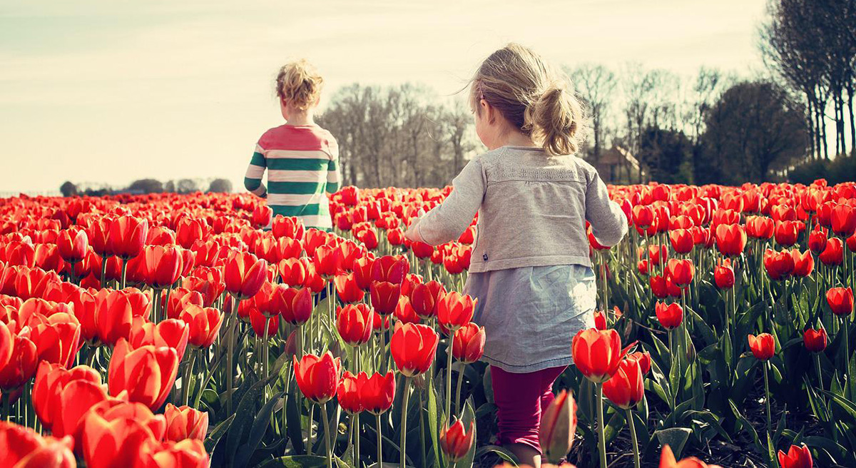 Children running through a tulip garden.