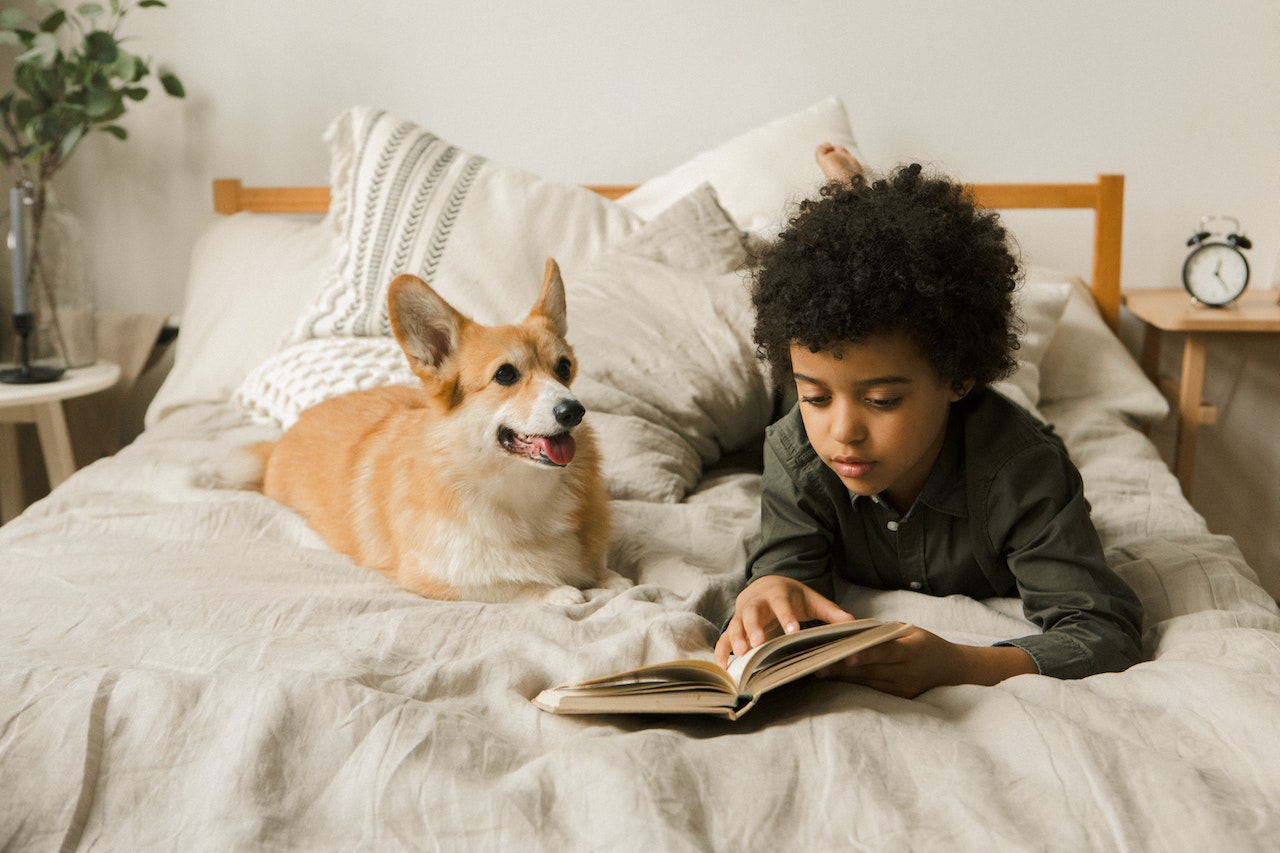 Little boy and corgi reading a book about cute nicknames in French for pets and children.
