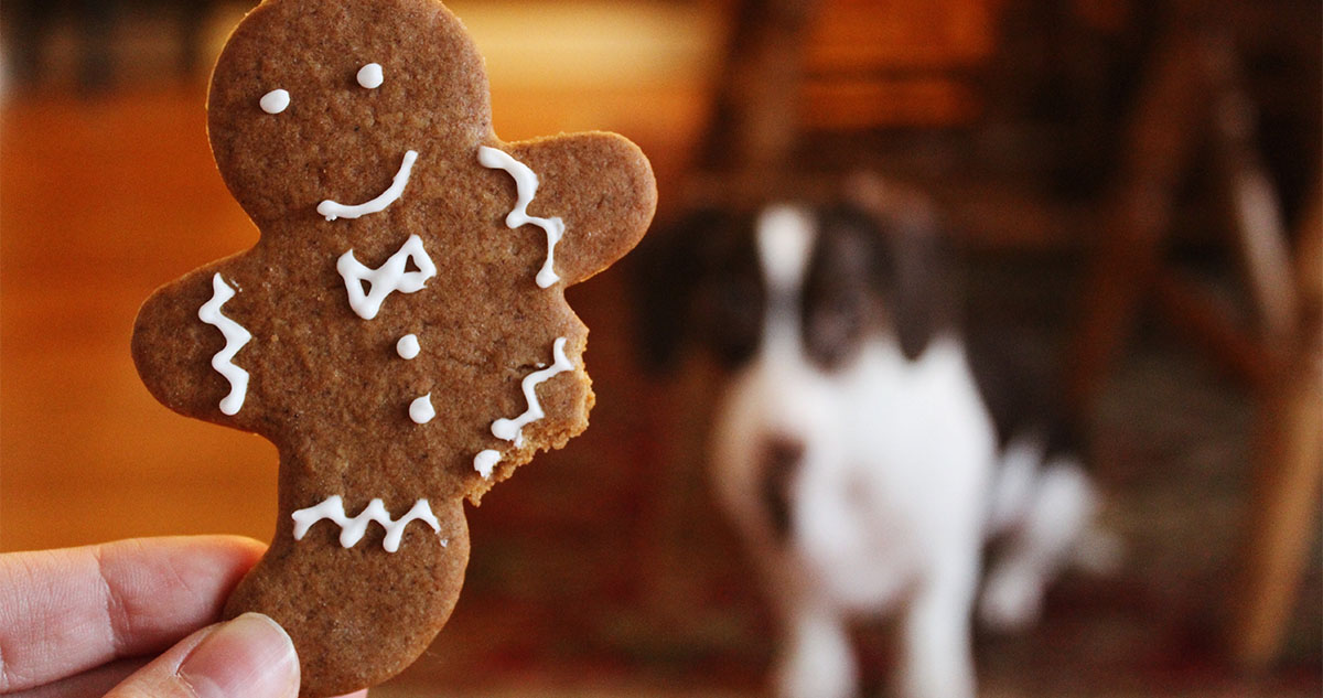 Gingerbread is a favorite German Christmas food.