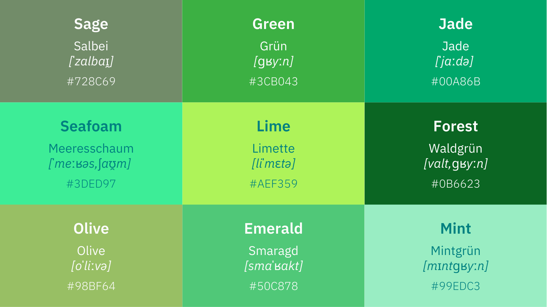 German Colors (Learn the Basics)