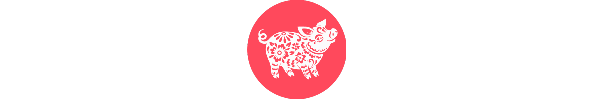 The Year of the Pig 猪年.