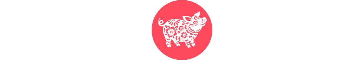 The Year of the Pig 猪年.