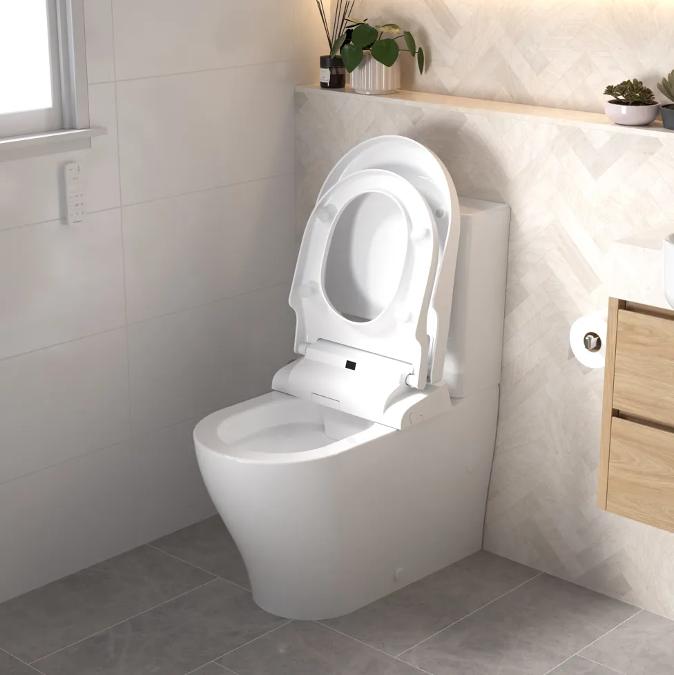 Modern bidet demonstrating hygienic benefits