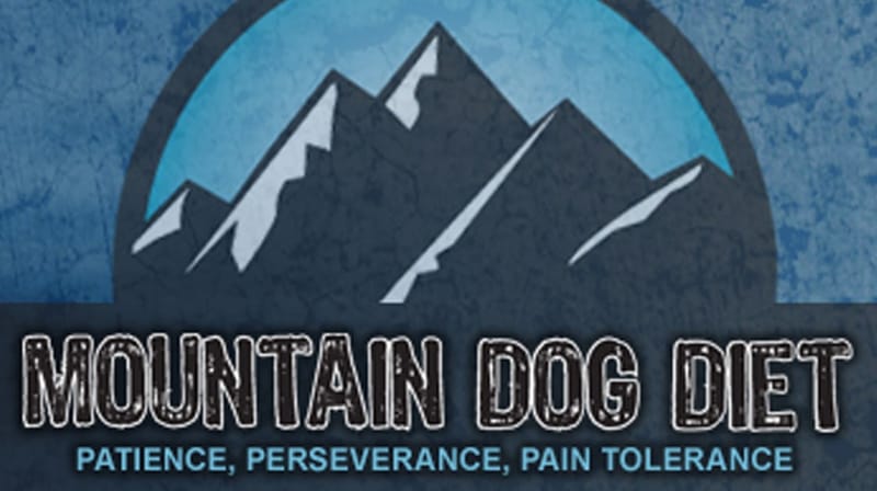 a-success-story-for-the-mountain-dog-in-you.jpg