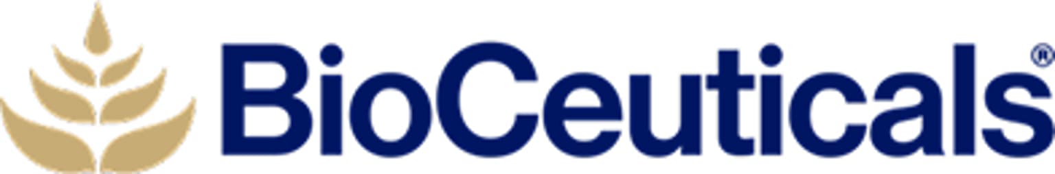 BC_LOGO_BLUE & GREY 2.png