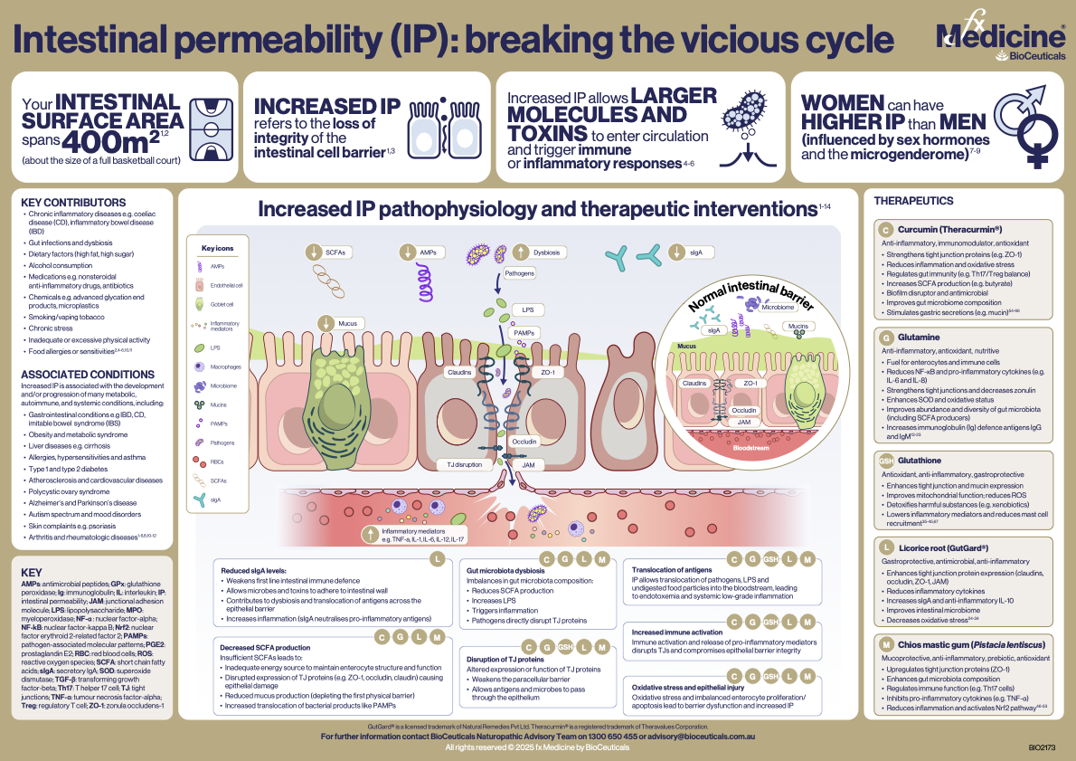 Intestinal permeability (IP): Breaking the vicious cycle | BioCeuticals