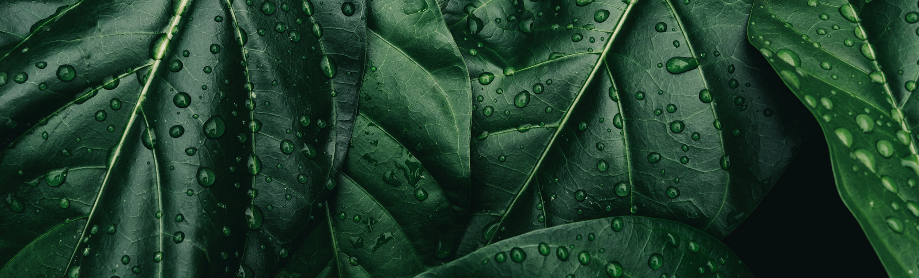 image 83.png