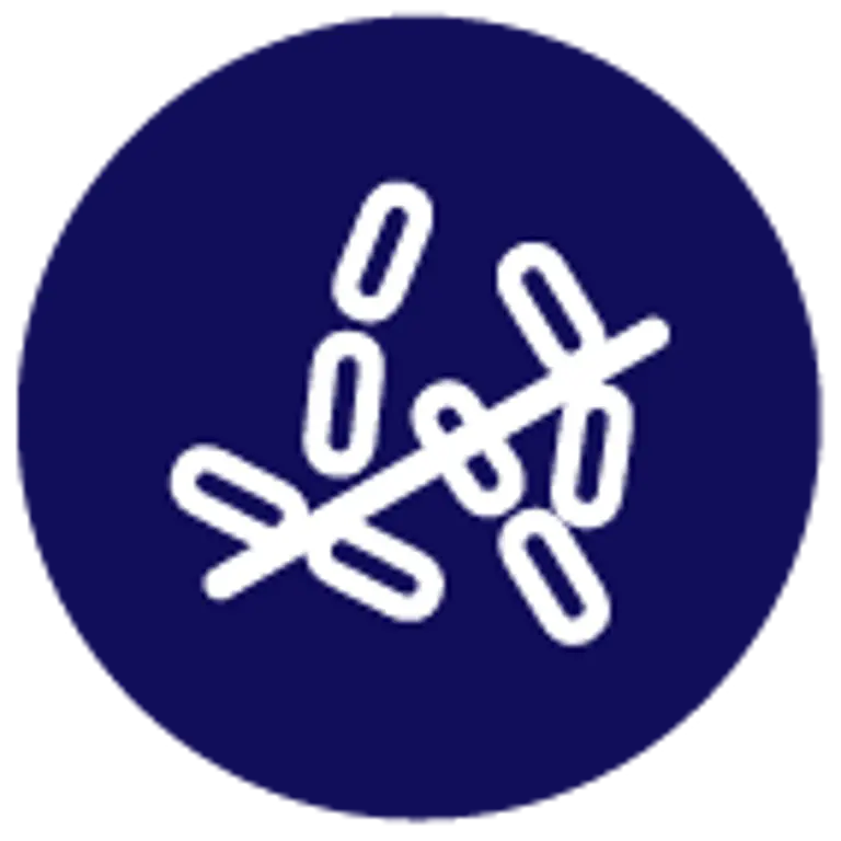 Acetyl Icon Acetyl-L-Carnitine for Energy Support | BioCeuticals