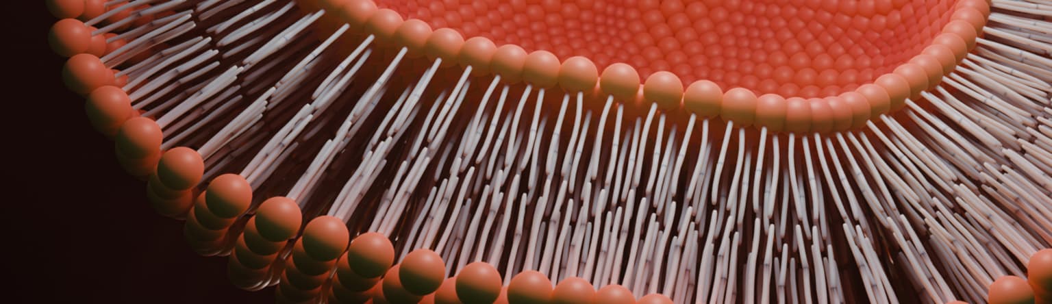 BioCeuticals Liposomal formulations - Header.png