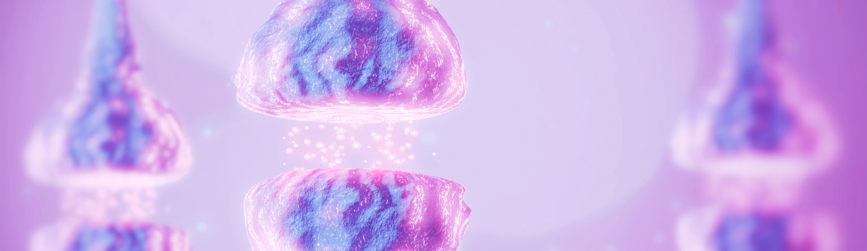 BioCeuticals Mental Wellbeing Infographic Header.png