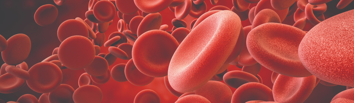 BioCeuticals Iron Sustain v2 Header.png