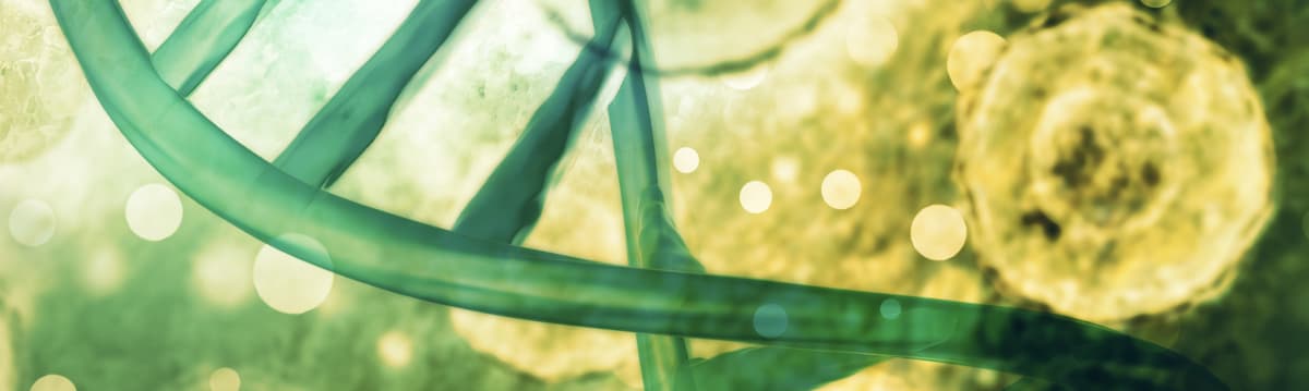 Header Bioactive Background BioCeuticals Clinical Methyl BioActive product flyer