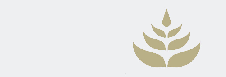 background leaf.jpg