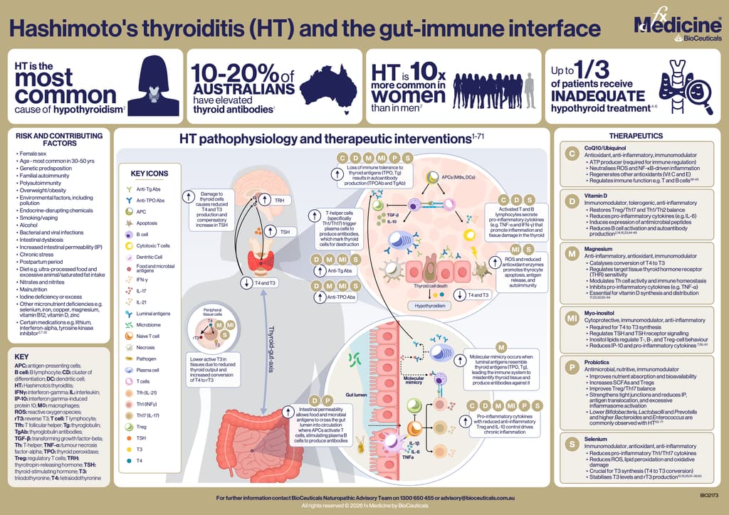 Hashimoto's Icon Hashimoto's thyroiditis and the gut-immune interface | BioCeuticals