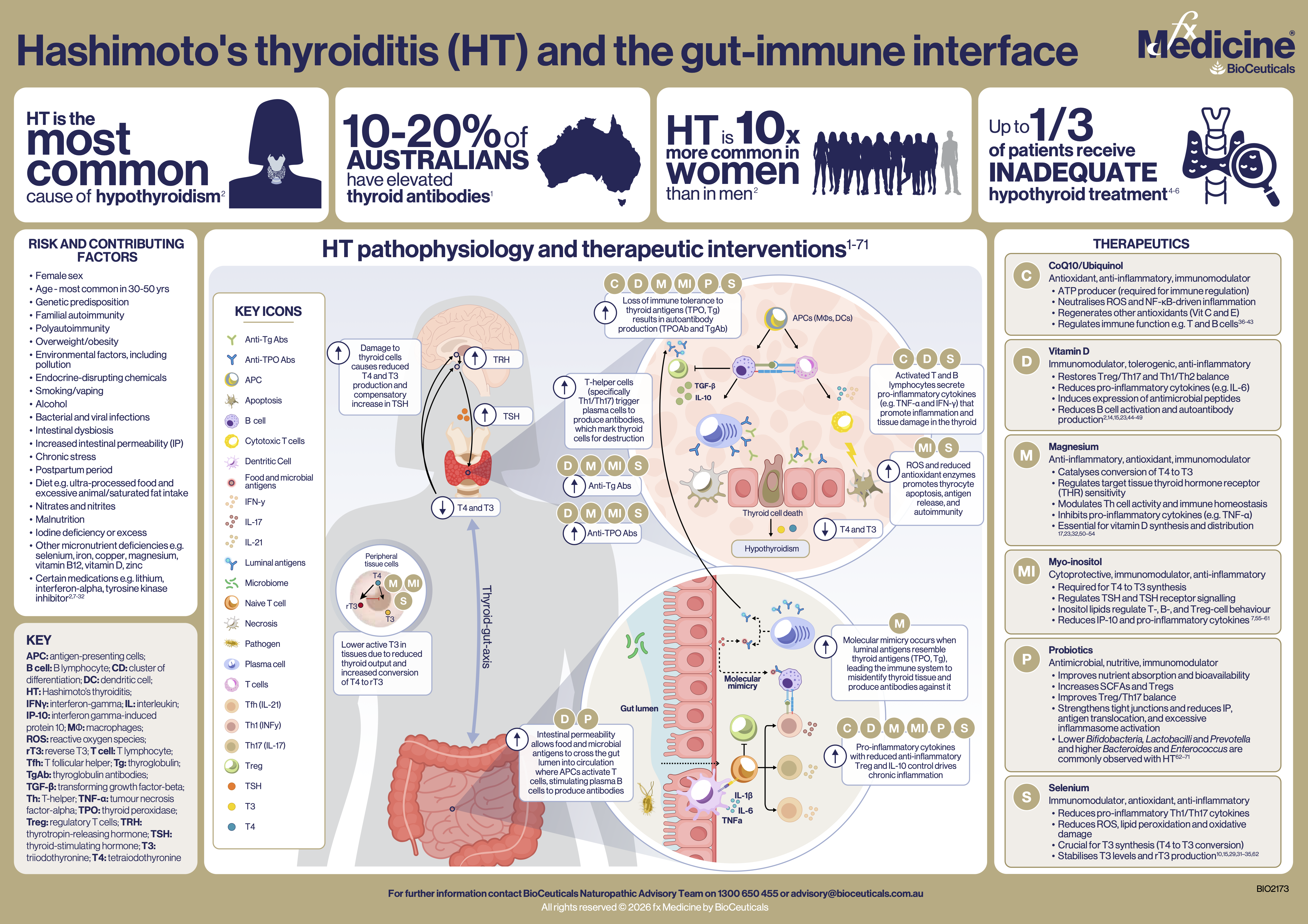 Hashimoto’s thyroiditis.png