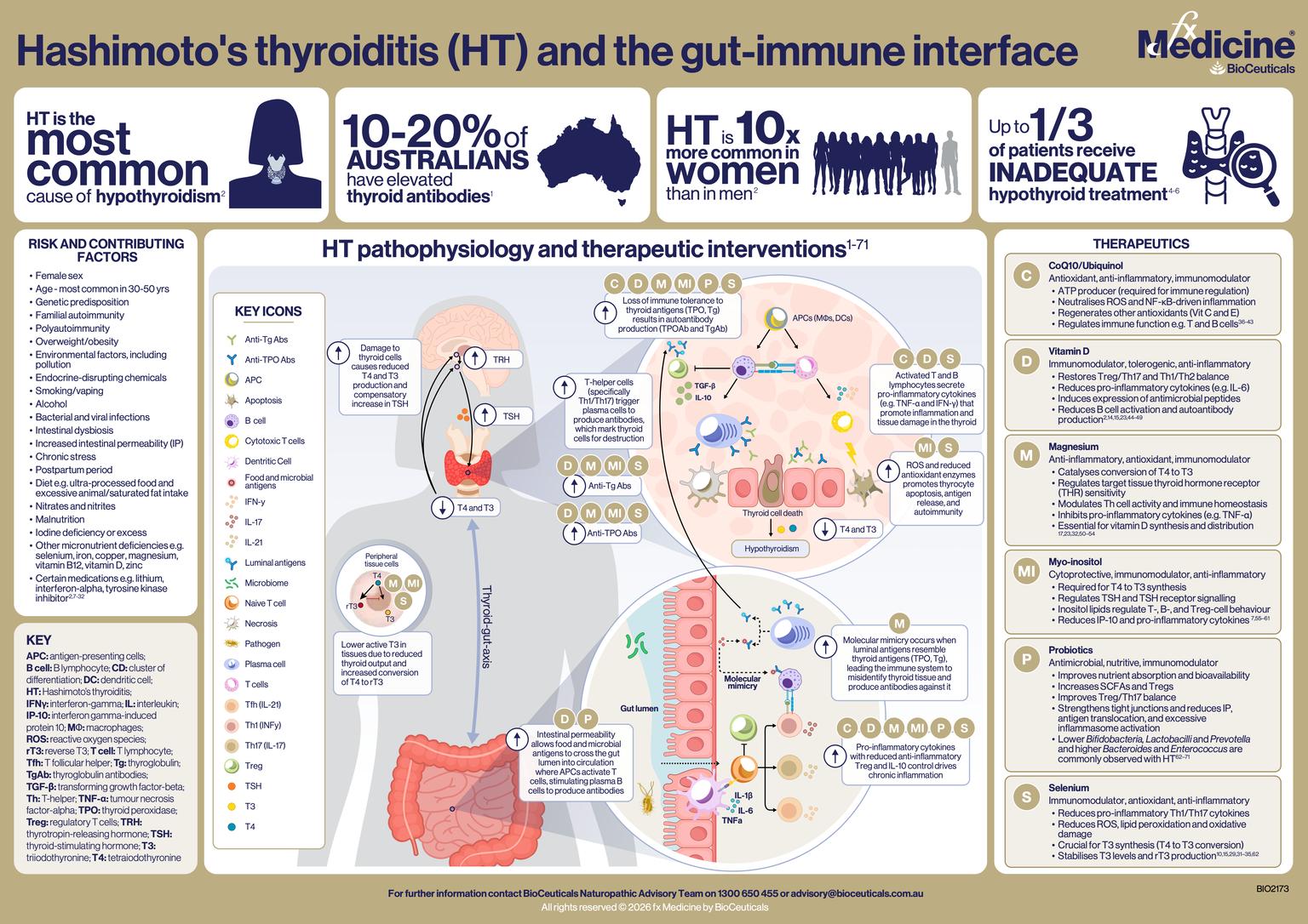 Hashimoto’s thyroiditis.png
