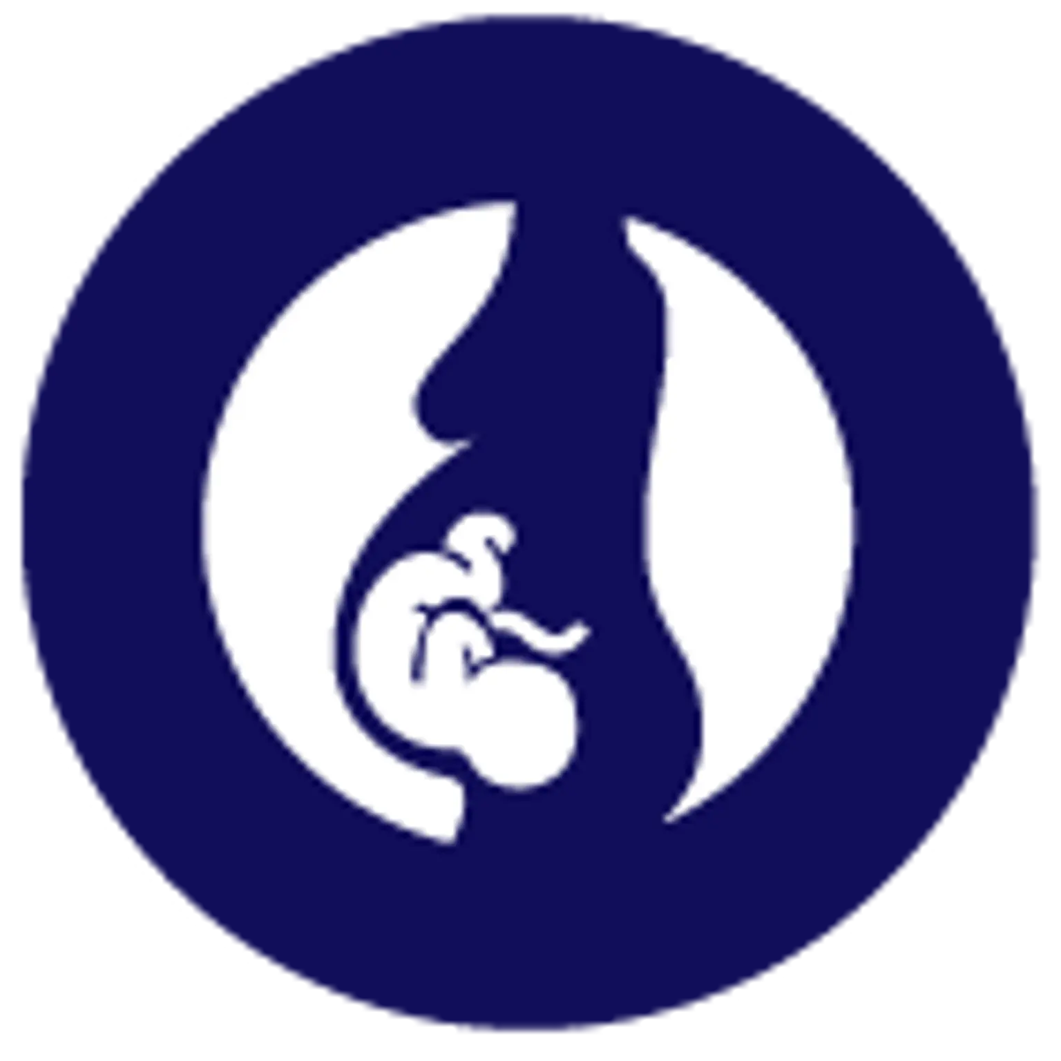 pregnancy-friendly_rev.png