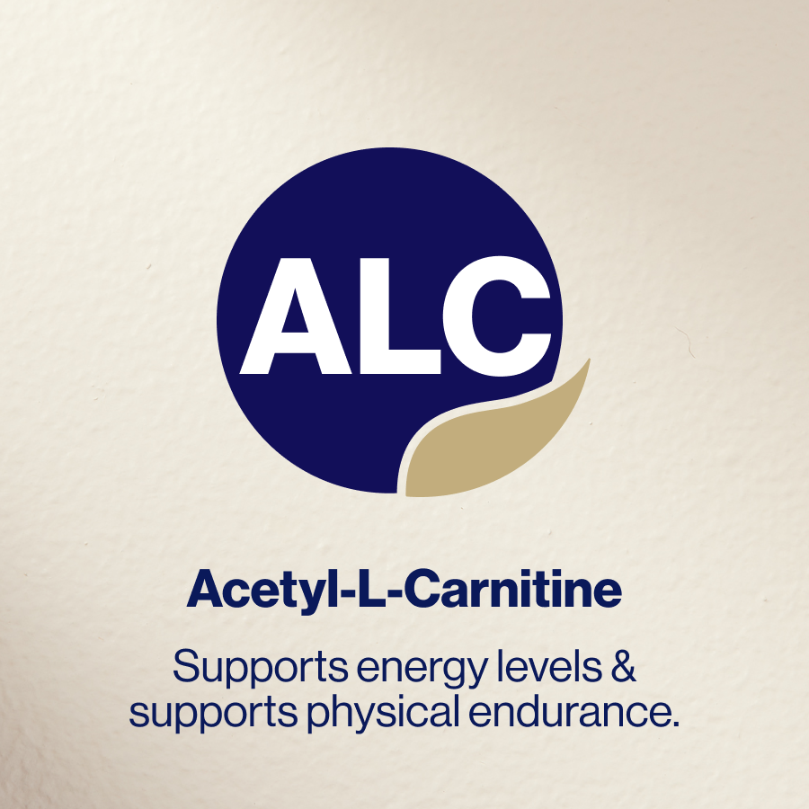 bioceuticals acetyl l carnitine Bioceuticals Acetyl-L-Carnitine Capsules – Health Co