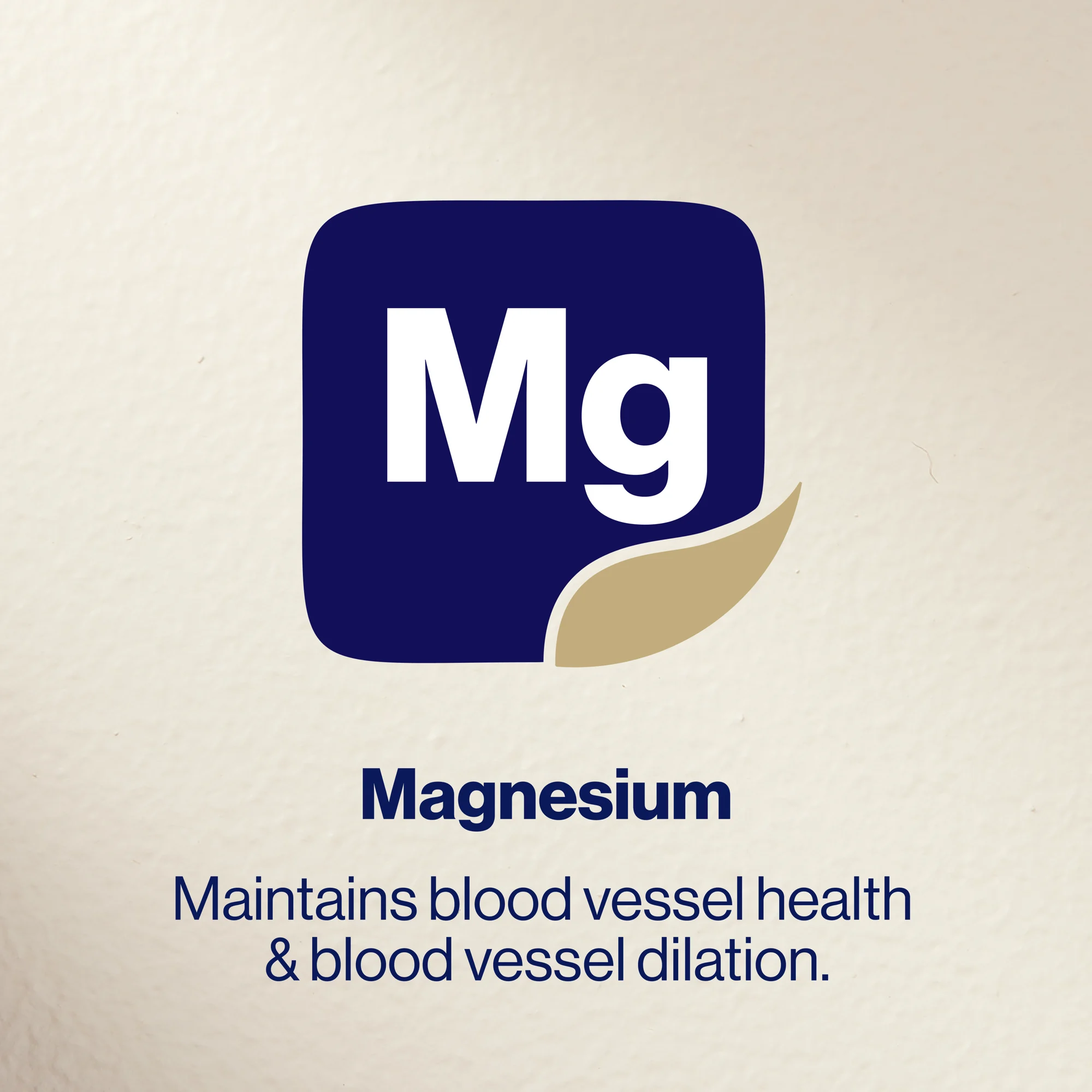 BioCeuticals Pharma Mag Forte 120 tablets 10% off RRP at HealthMasters  Magnesium