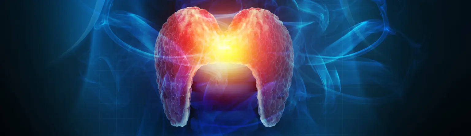 Thyroid HH.jpg