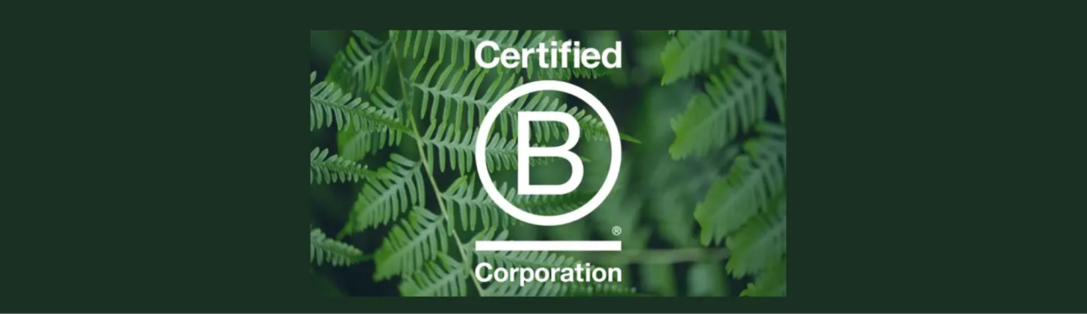 BCorp.png