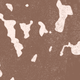 color-1