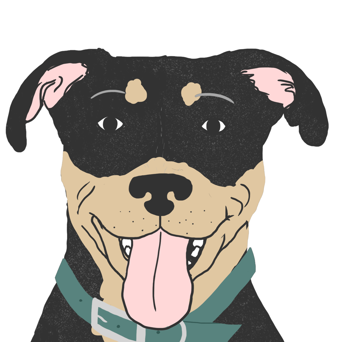Explore the Rottweiler Mix | Zoetis Petcare