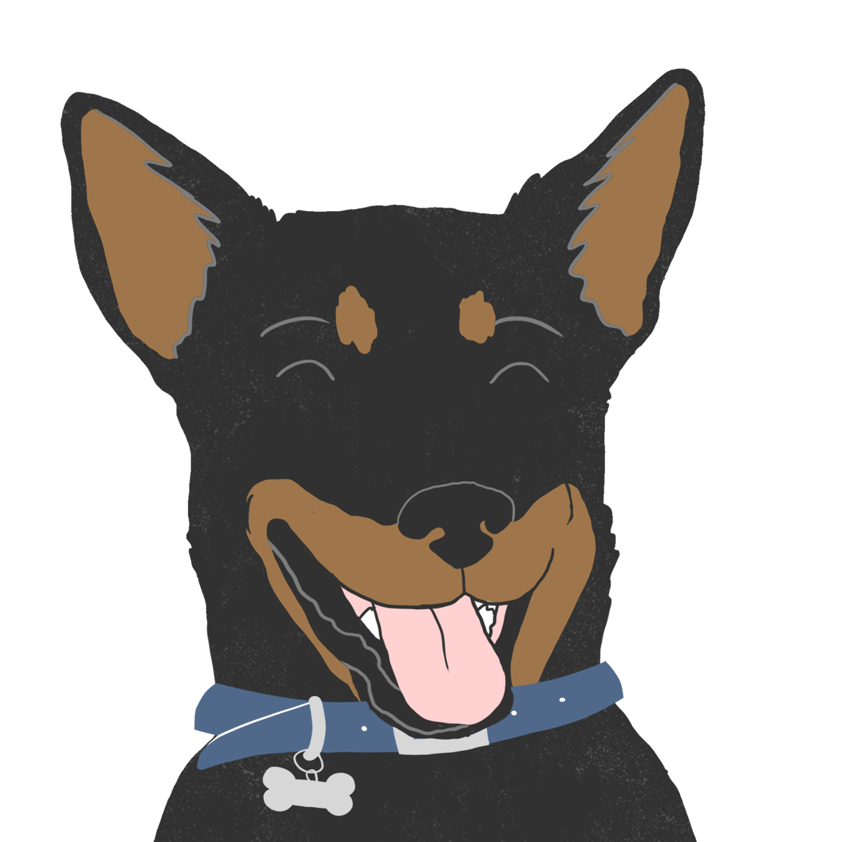 Explore the Doberman Mix | Zoetis Petcare